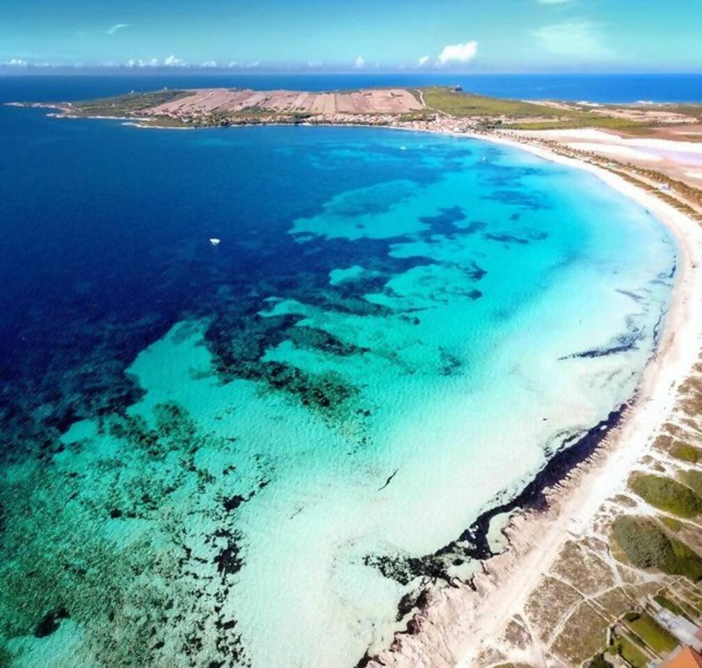 Funtana Meiga Marina Breeze 50Mt From Sea Dış mekan fotoğraf